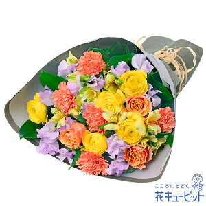 yl̓zԃL[sbg l j LO t[Mtg FB ގޏ  q oƃXC[gs[̉؂₩ȉԑmb00-525004