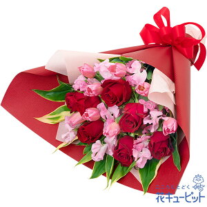 y1̒aԁiXC[gs[jzԃL[sbg j LO  e  FB Fl v[g t[Mtg ԃoƏt̉Ԃ̍؂ȉԑya01-525005