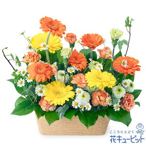 yybgpt[MtgEzԃL[sbg    @v ԃybĝ̃AWgng01-525017