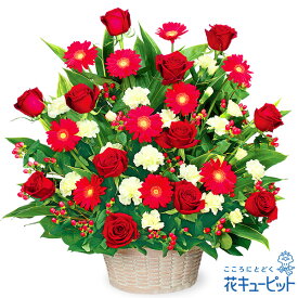 【お祝い】花キューピット 敬老の日 誕生日 歓送迎 結婚 還暦 開店開業 卒業入学 記念日 プレゼント 赤バラとガーベラのアレンジメントyc00-525041