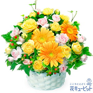 yat[MtgzԃL[sbg  a j LO v[g ގޏ vw c FB Fl IWK[x̃AWgya00-525043