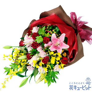 yҗjEjzԃL[sbg  Mtg a j LO  j sNƐԃỏԑyv00-525044