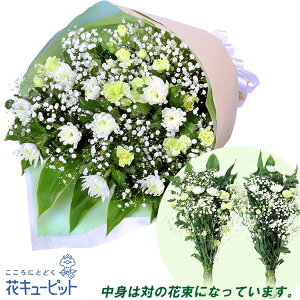 yĤފ݁zԃL[sbg   @v @    ފ l\  ̉ԑiOpE΁jnd00-525050