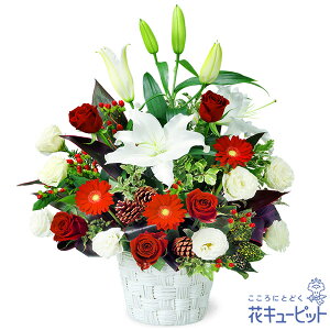 yNX}Xt[zԃL[sbg v[g Mtg j a  LO Xmas ̃EB^[AWgmm00-525060