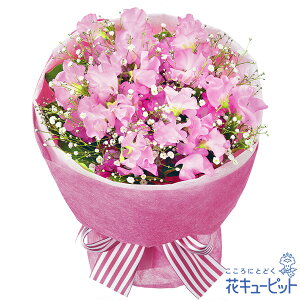 y1̒aԁiXC[gs[jzԃL[sbg j LO  e  FB Fl v[g t[Mtg sNXC[gs[̉ԑya01-525062