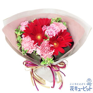 yLOzԃL[sbg  Mtg j v[g vw c N ԍ ⍥ ԃK[x̃L[gȉԑyb00-525074