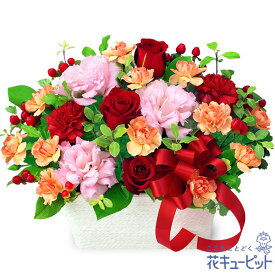 【還暦祝い・長寿祝い】花キューピット 花 ギフト 誕生日 お祝い 記念日 女性 男性 赤バラとリボンのアレンジメントyv00-525082