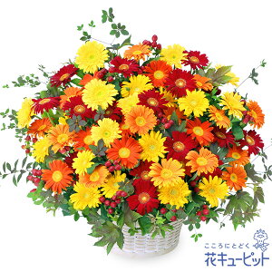 yVzzjzԃL[sbg  Mtg ړ] LO j v[g3FK[x̃AWgyg00-525092