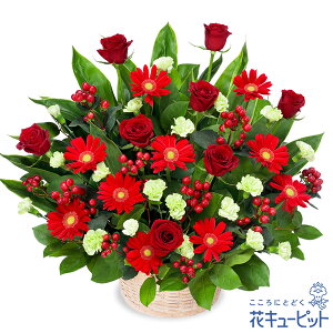 y11̒aԁiK[xjzԃL[sbg a j LO v[g   Mtg ԃoƐԃK[x̍؂ȃAWgya11-525101