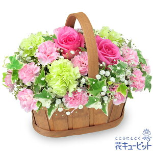 yzԃL[sbg މ@j Cj 邢 O  Mtg v[gsNõn[j[oXPbgyk00-525104