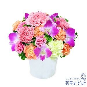 yzԃL[sbg މ@j Cj 邢 O  Mtg v[gsNIW̃AWgyk00-525111