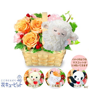 yybgpt[MtgEjzԃL[sbg  j LO a } v[g IWõ}XRbgtEbhoXPbgnf01-525120