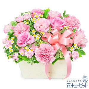 yΕEE~̉ԑzԃL[sbg j a v[g Mtg NX}X õsNAWgmw00-525129