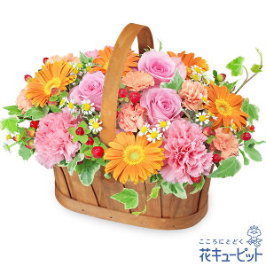 yzԃL[sbg މ@j Cj 邢 O  Mtg v[gsNƃIW̃n[j[oXPbgyk00-525130