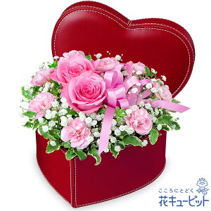 yzԃL[sbg މ@j Cj 邢 O  Mtg v[gsNõn[g{bNXAWgyk00-525131