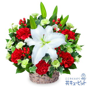 a||ʁEސE|ƁEw|zEj hV̓ a }  җ JXJ Ɠw LO v[g ԃL[sbg̔̃AWgyc00-525152