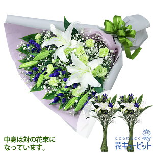 yĚ݂ԁzԃL[sbg   @v @    ~ ފ ~V~ l\  ̉ԑiOpE΁jyr00-525158