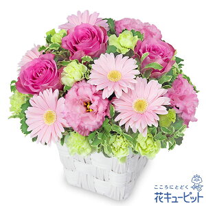 yjzԃL[sbg  Mtg j LO v[g vw cc W[uCh uC_ oƃK[x̃sNAWgyd00-525164