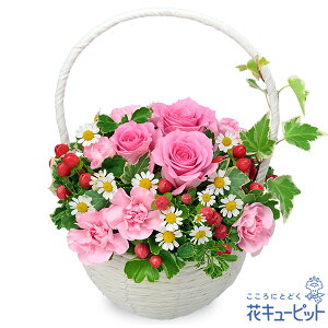 yzԃL[sbg މ@j Cj 邢 O  Mtg v[gsNõi`oXPbgyk00-525170