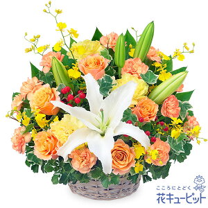 yVzzjzԃL[sbg  Mtg ړ] LO j v[gƃIWF̃oXPbgAWgyg00-525174