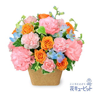 a||ʁEސE|ƁEw|zEj hV̓ a }  җ JXJ Ɠw LO v[g ԃL[sbg̑N₩ȃXv[õAWgyc