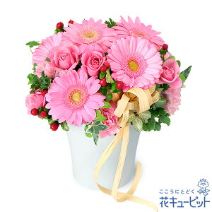 yLOzԃL[sbg  Mtg j v[g vw c N ԍ ⍥ K[x̃i`AWgyb00-525207