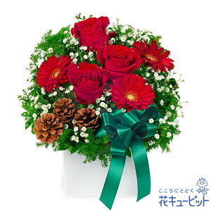 y12̒aԁiԃojzԃL[sbg a j LO v[g   Fl   FB ԃõNX}XAWgya12-525219