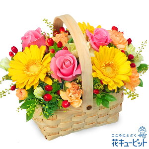 yzԃL[sbg މ@j Cj 邢 O  Mtg v[gsNCG[̃AWgyk00-525227