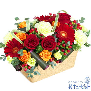 yjzԃL[sbg  Mtg j LO v[g vw cc W[uCh uC_ ԃõXNGAoXPbgyd00-525231