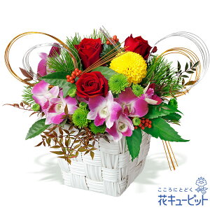 yzԃL[sbg  2026N  VN ꐳ N A N  N }t ̃AWgpp00-525235