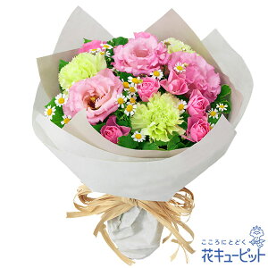 yjzԃL[sbg  Mtg j LO v[g vw cc W[uCh uC_ gRLLẼi`ȉԑyd00-525238