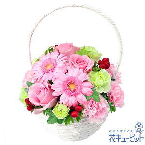 yzԃL[sbg މ@j Cj 邢 O  Mtg v[gsNoƃK[x̃i`oXPbgyk00-525244