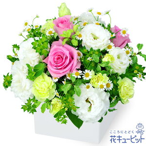 yzԃL[sbg މ@j Cj 邢 O  Mtg v[gsNzCg̃L[uAWgyk00-525246