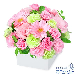 yat[MtgzԃL[sbg  a j LO v[g ގޏ vw c FB Fl sNK[x̃L[uAWgya00-525247