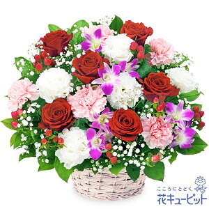 yat[MtgzԃL[sbg  a j LO v[g ގޏ vw c FB Fl ԃoƃft@̃AWgya00-525252