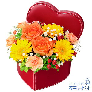 yjzԃL[sbg  Mtg j LO v[g vw cc W[uCh uC_ IWõn[g{bNXAWgyd00-525254