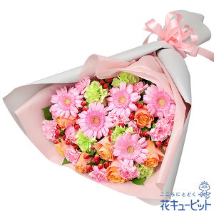 yat[MtgzԃL[sbg  a j LO v[g ގޏ vw c FB Fl IWoƃK[x̉ԑya00-525280