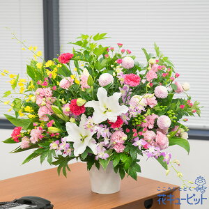 yjԂzԃL[sbg  Mtg j LO   v[gsN̍؂ȃAWgyu00-525291