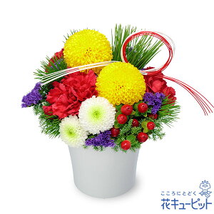 yzԃL[sbg  2026N  VN ꐳ N A N  N }t ̃AWgpp00-525319