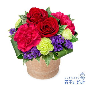 yΕEE~̉ԑzԃL[sbg j a v[g Mtg NX}X ԃõ~j|bgAWgmw00-525321