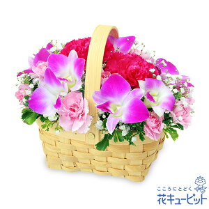 yމ@jECjzԃL[sbg މ@j Cj 邢 O  Mtg v[gft@̃EbhoXPbgyl00-525351