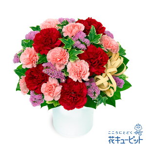 yzԃL[sbg  2026N  VN ꐳ N A N  N }t ԂƃsÑi`ȃAWgpp00-525355