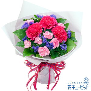 yLOzԃL[sbg  Mtg j v[g vw c N ԍ ⍥ sNJ[l[Vƃp[v̉ԑyb00-525368