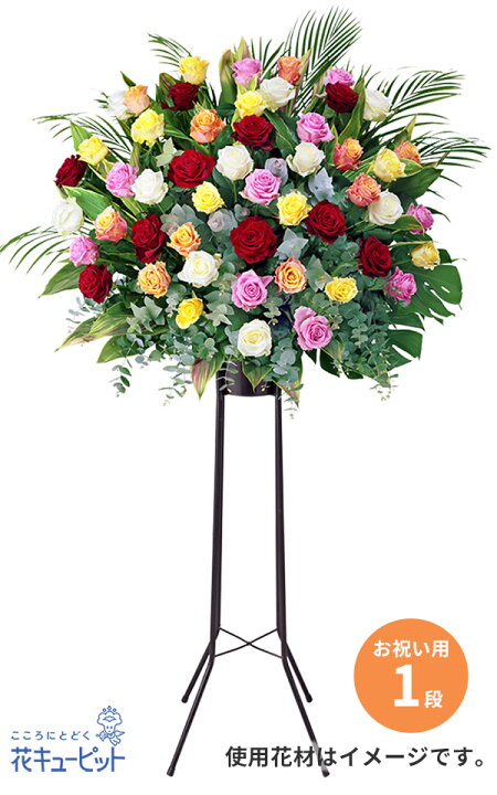 贈物 冬に花が咲きます 寒椿 赤 Fucoa Cl