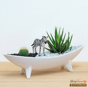 Y@T{eEA CeA 񂹐A WI} Mtg IuWF v[g a ԃL[sbg̑A񂹐AiV}E}jsk11-711410