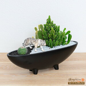 yY@T{eEAzԃL[sbg CeA 񂹐A WI} Mtg IuWF v[g a T{e񂹐AizCg^CK[jsk11-711411