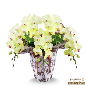 yeMmӒEjzԃL[sbg a ސE JX ړ] i i M ~fBӒ@CG[@5{i46֑Ojse00-711539