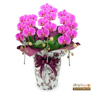 yeMmӒEjzԃL[sbg a ސE JX ړ] i i M ~fBӒ@ZsN@3{(24֑Ojse00-711553