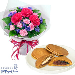 yjZbgMtgzԃL[sbg ސE j LO a JX w  \sNJ[l[Vƃp[v̉ԑƁyʎqTGzŘǂ₫10ab09-ab09525368