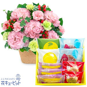 yjZbgMtgzԃL[sbg  oY JX w  ސE gRLLẼAWƁyVVzĂَqA\[g 59ab19-ab19524340